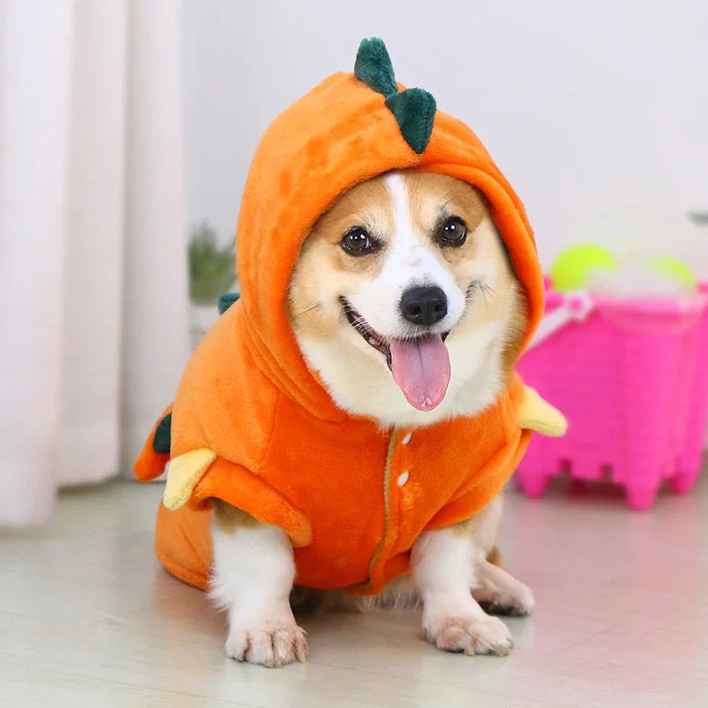 Winter Warm Dinosaur Pet Hoodie Costume XS‑4XL .