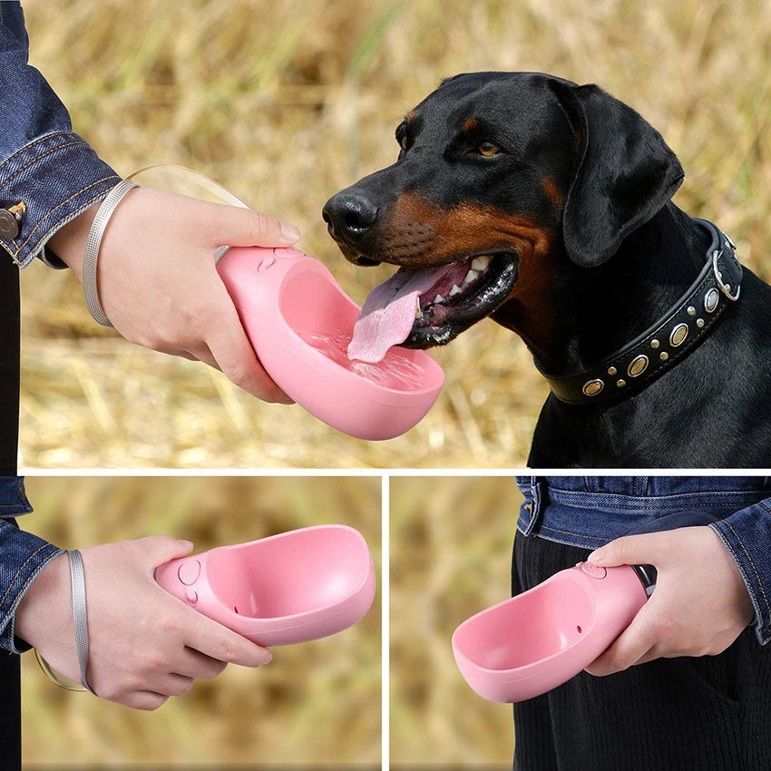Pet Water Bottle Drinking Feeder.