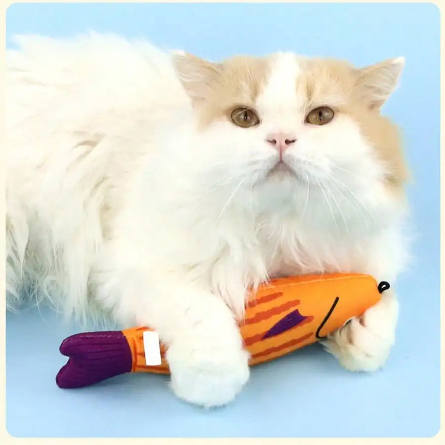 Realistic Fish Design Cat Toy.    Indoor Interactive Kicking Toy For Cats,