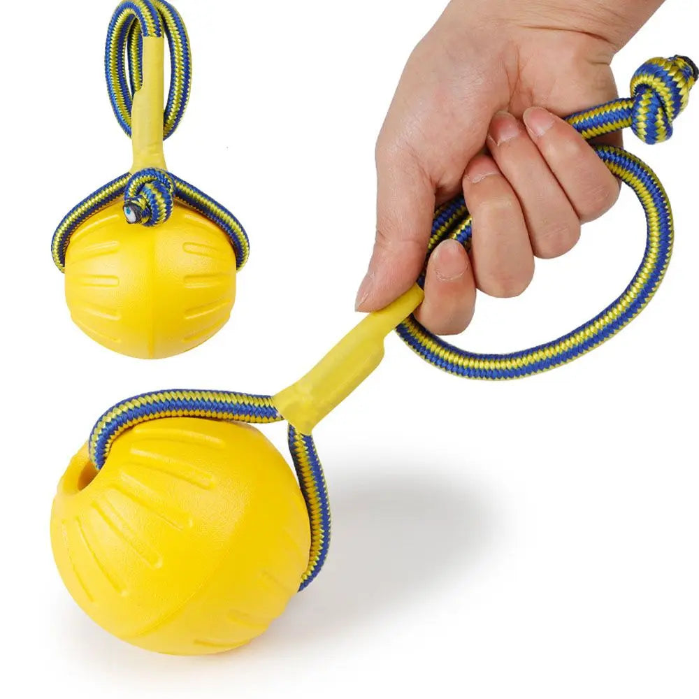 Rubber Ball, Dog Training Chew,  Toy Fetch and Tease Chew Toy.