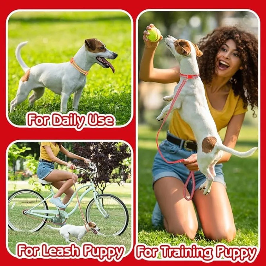 Reflective Collar and Leash Set for Cats, Small Dogs & Puppies.