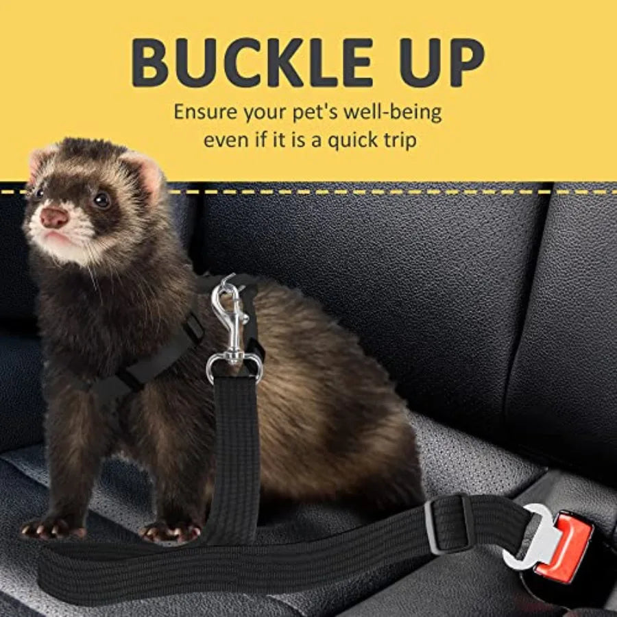 Pet Seat Belts for Car.