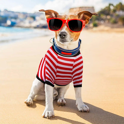 Stripe Dog T-shirt for Small & Medium Dogs, Cats and Puppies.