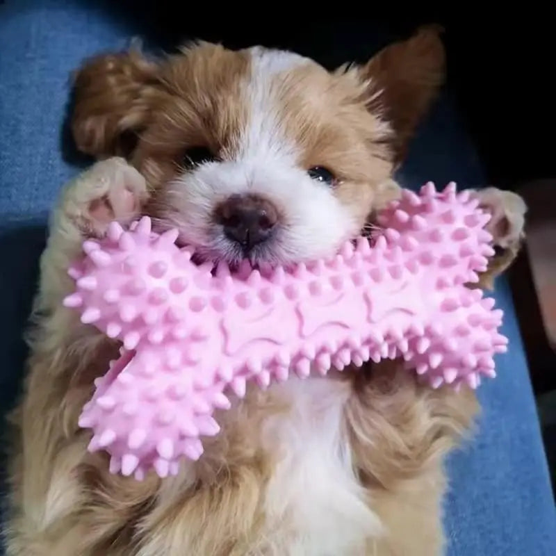 Durable Squeaky Dog Chew Toys - TPR Non-Toxic Puppy Teething Bones, Various Shapes to Satisfy Chewing Instinct.