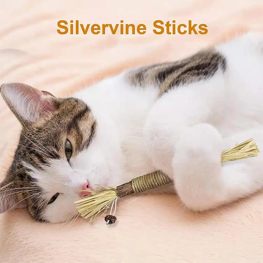 Cat Toys Cleaning Teeth Chew Stick with Catnip.