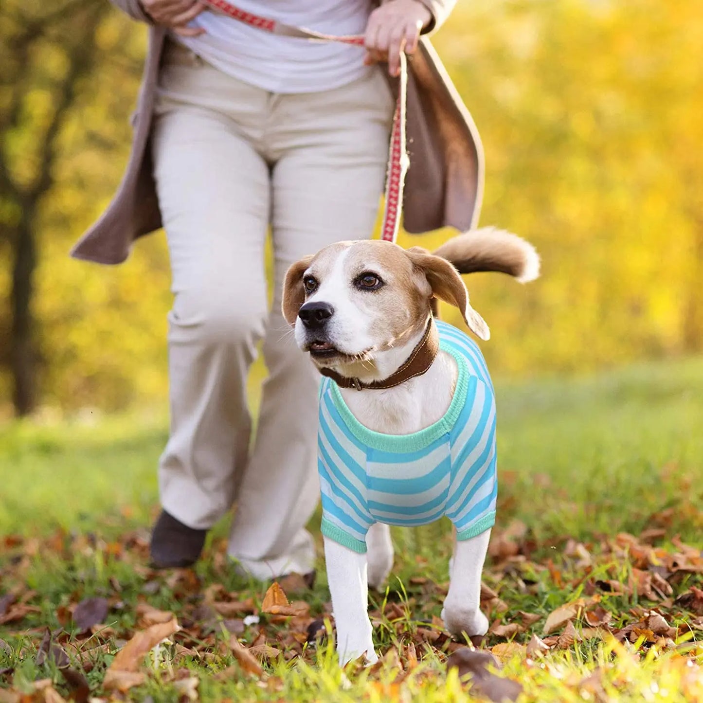 Stripe Dog T-shirt for Small & Medium Dogs, Cats and Puppies.