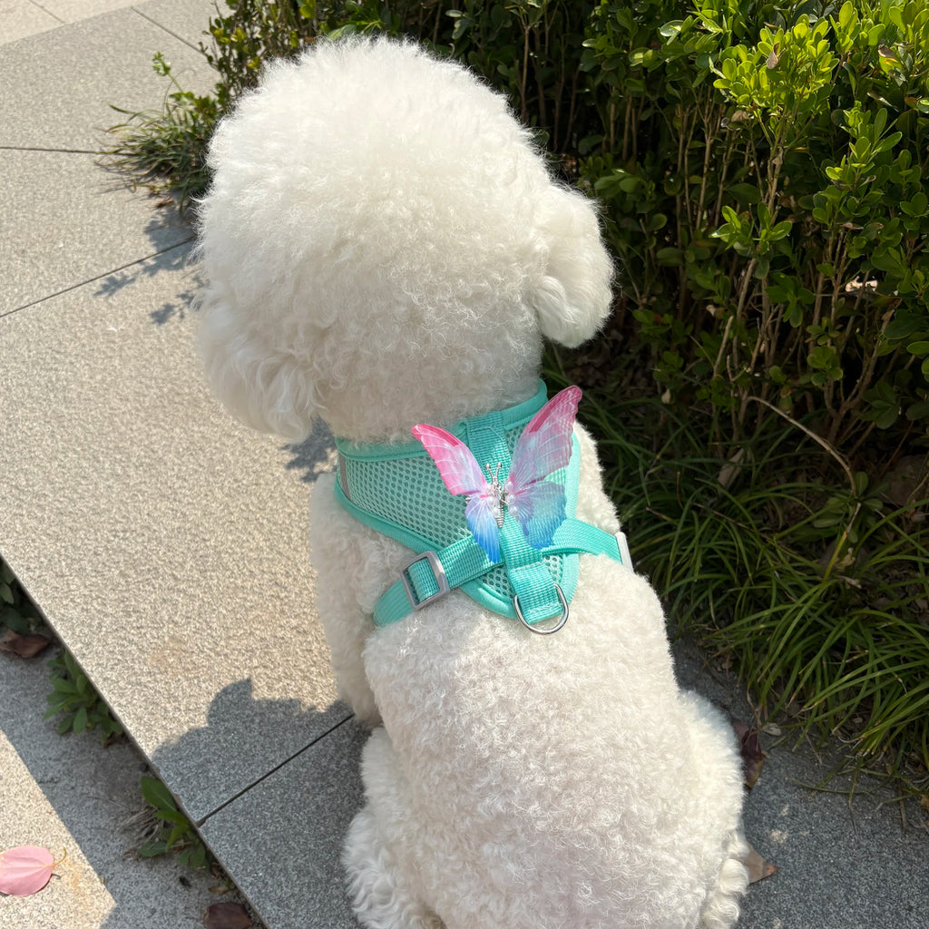 Breathable Cat Harness Set Detachable Butterfly.   Small Dog Harness Vest Set with Leash.