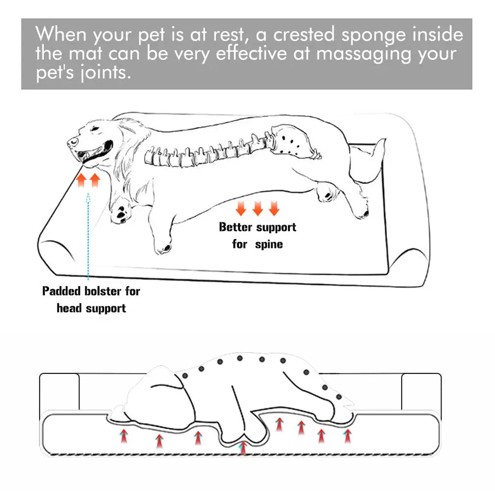 Dog Beds with an Orthopedic Pet Mattress and a Bed Cushion.
