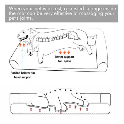 Dog Beds with an Orthopedic Pet Mattress and a Bed Cushion.