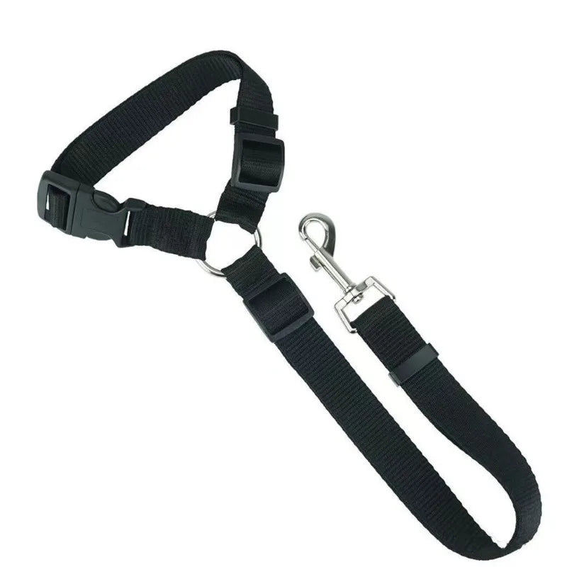 Two-in-one Pet Car Seat Belt and Leash.  Adjustable and Nylon.