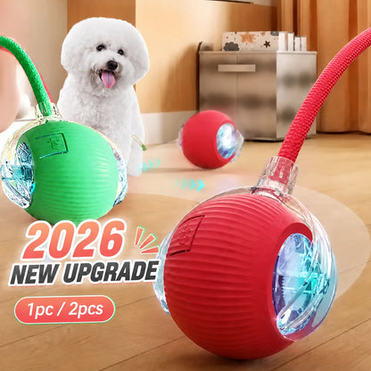Automatic Rolling Dog Ball Toy.