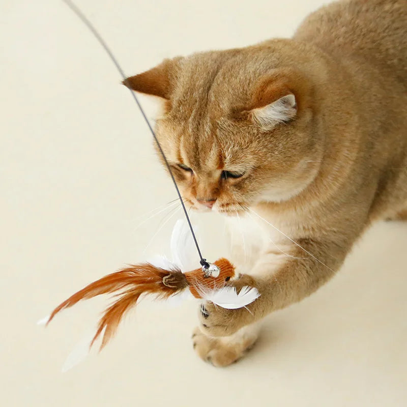Cat Wand with Bell, Powerful Suction Cup, Interactive Toys for Cats and Kittens.