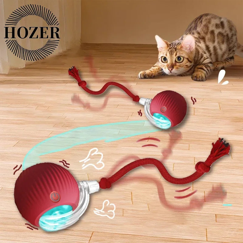 2Pcs Cat Ball Auto Rolling Ball Rechargeable Toy.