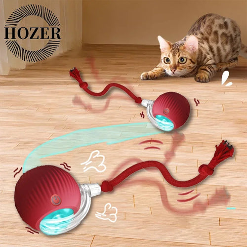 2Pcs Cat Ball Auto Rolling Ball Rechargeable Toy.