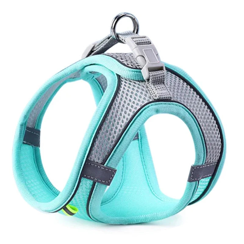 Vest-Style Dog Harness and Leash Set.