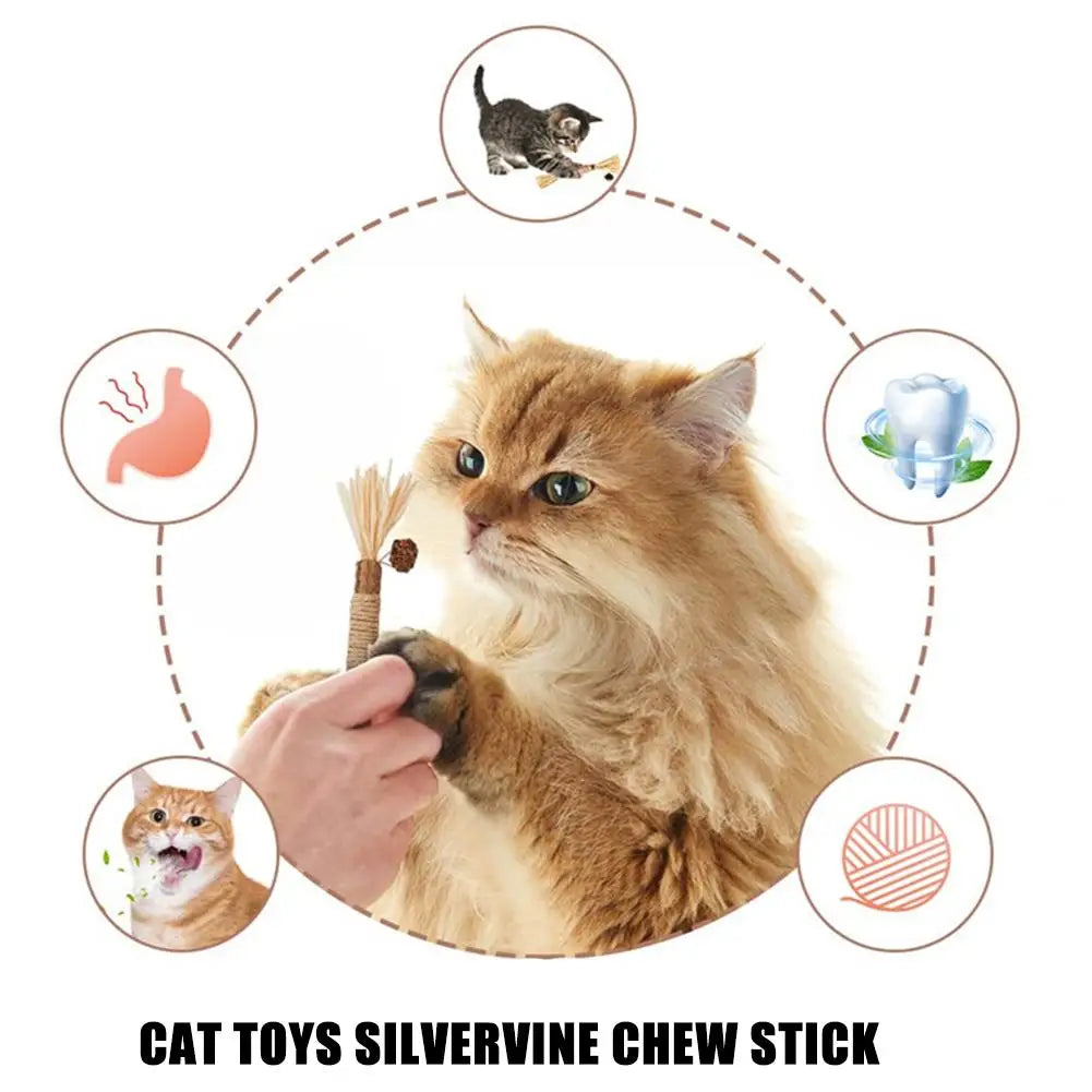 Cat Toys Cleaning Teeth Chew Stick with Catnip.