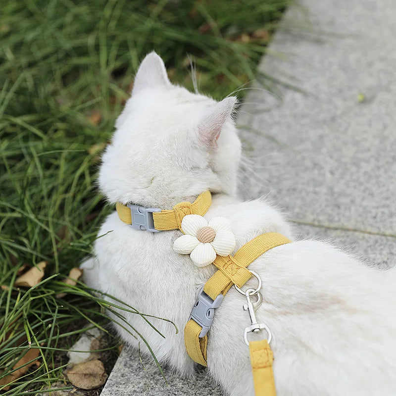 Cat Harness and Leash Set Adjustable, Leash is Breathable. Pet Harness is for Cats and  Small Dogs.