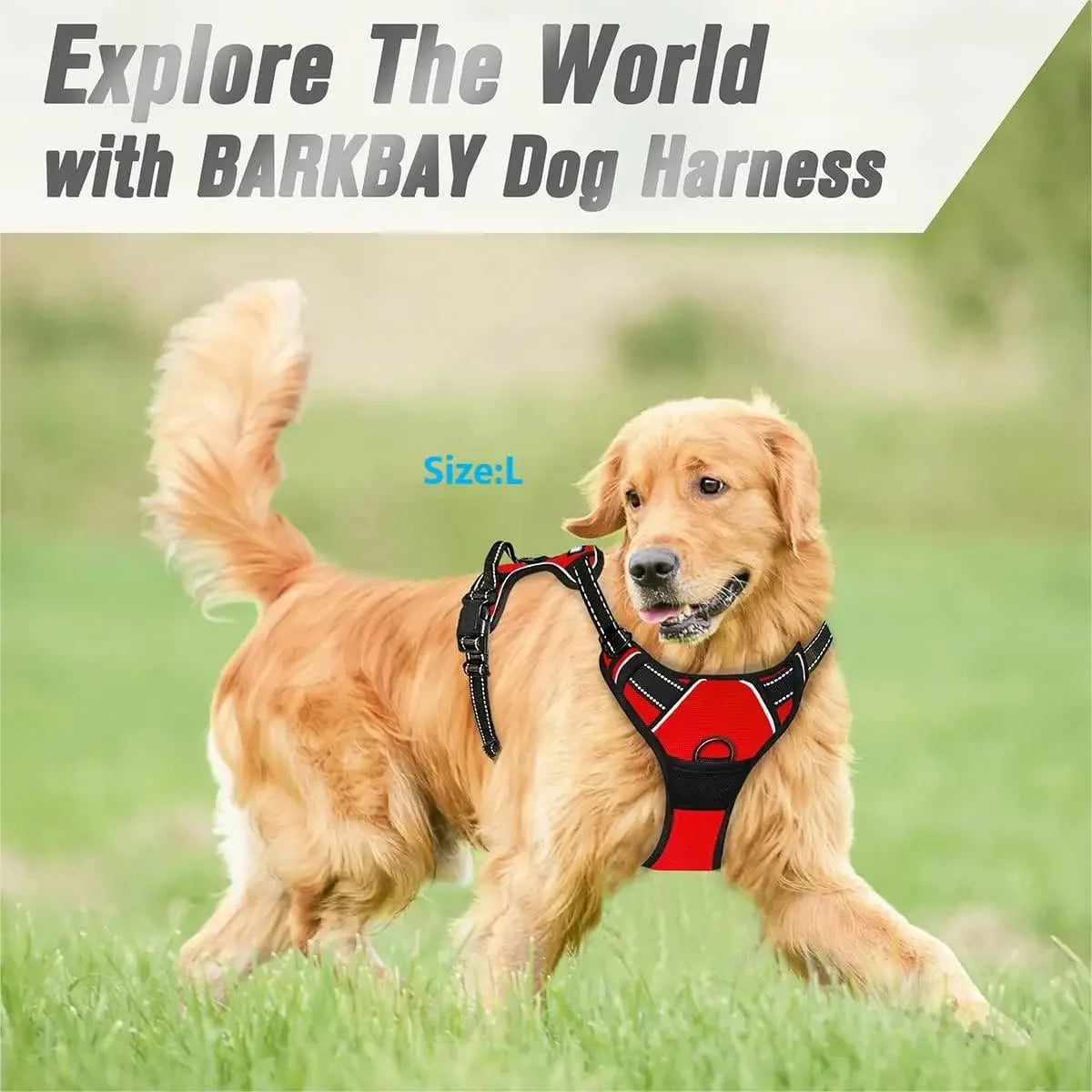 Dog Collar Harnesses Big Vests.  Sizes Small, Medium, Large and Extra Large Harnesses.