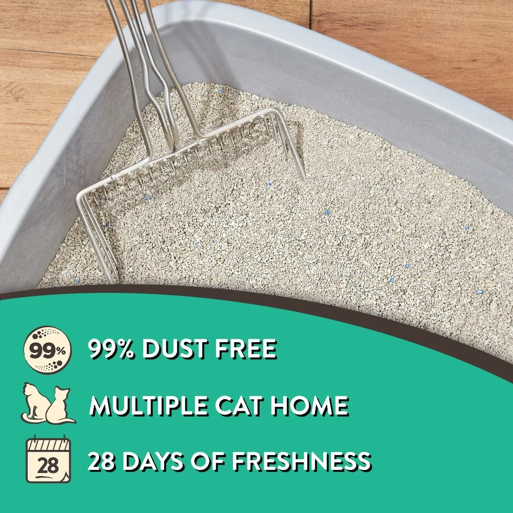 4-Pack Special Kitty Clumping Clay Cat Litter Fresh Scent 20 lbs. Jug.  Odor Control Fast Clumping Cat Sand for all Cats.