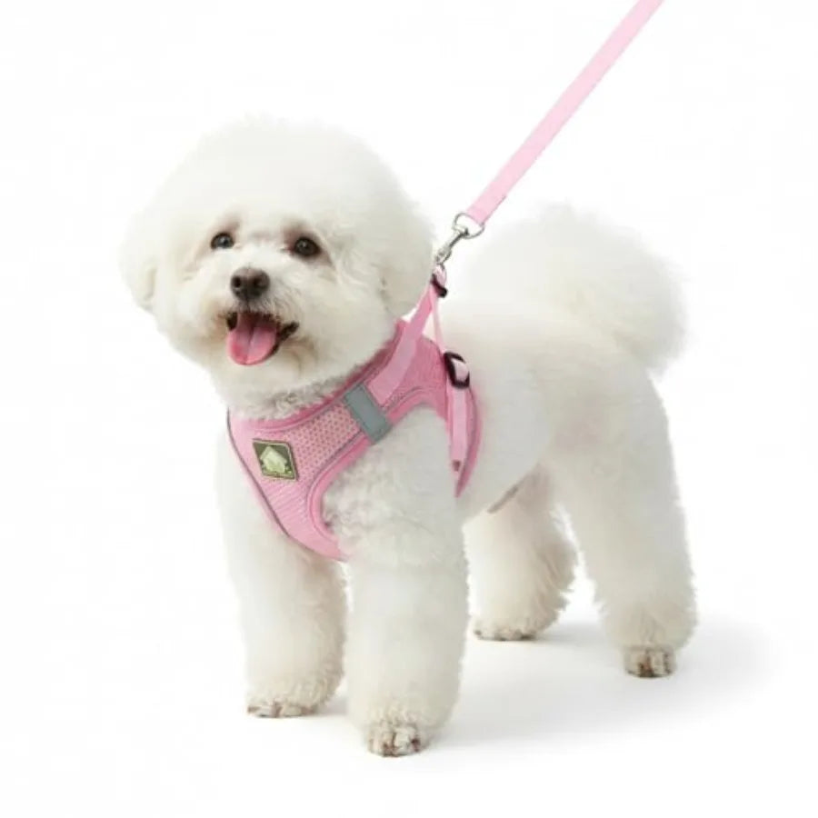 Dog Harness Vest with Leash Set.