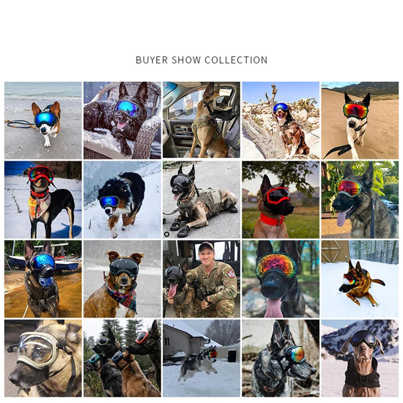 Dog Goggles Anti-UV Sun Glasses,  Eyewear Protection,  Adjustable and Windproof.