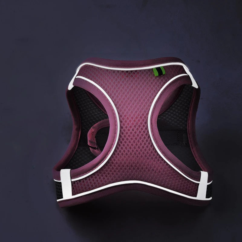 Vest-Style Dog Harness and Leash Set.