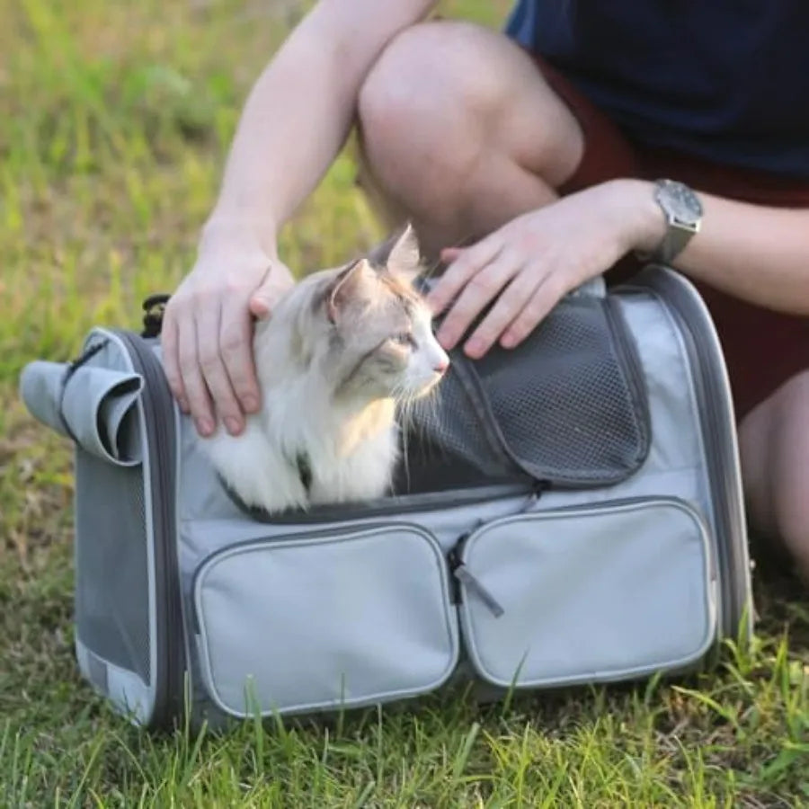 Cat Carrier, Soft-Sided Small Dog Carrier, Large Cat Travel Bag with 4 Mesh Windows, Under 15 lb.  Airline Approved Pet Carrier.