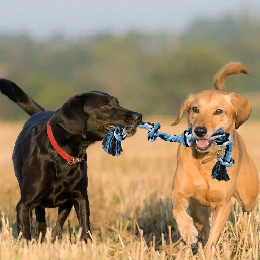 Tough Twisted Rope Toy With 5 Knots for Aggressive Chewers, Interactive Heavy Duty Toys For Medium and Large Dogs.