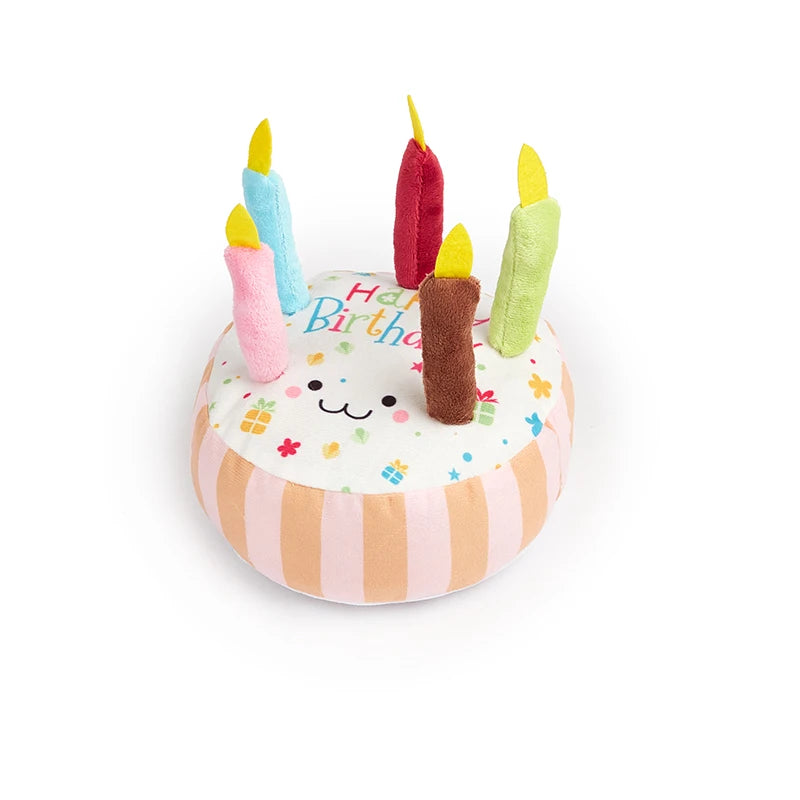 Squeaky Birthday Cake for Dog.