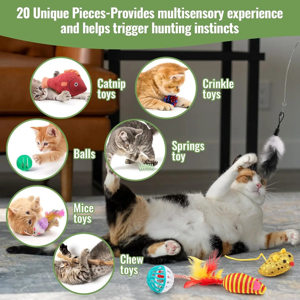 20 Piece Variety Pack Cat Toys