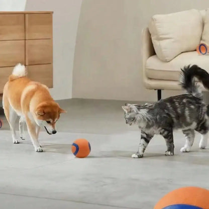 Toy Ball for Puppies & Small, Medium & Large Dogs.
