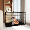 Dog Crate 36 Inch Medium Dog Cage with Divider.  Leak-Proof Tray,  Double Door,  Folding Metal Wire Cage, Indoor, Outdoor and Travel Use.