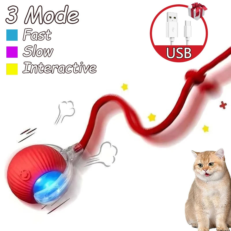 2Pcs Cat Ball Auto Rolling Ball Rechargeable Toy.