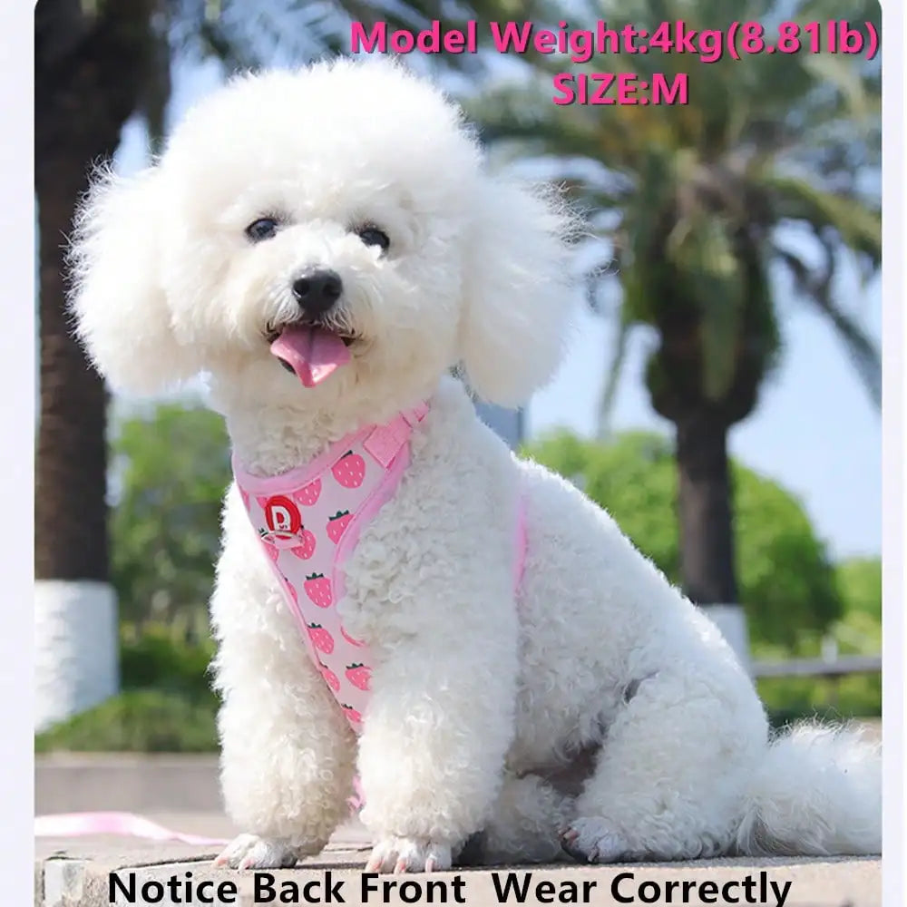 Cute Pet Harness And Leash Set For Small Dogs.  Anti-Escape Cat Leash.  Adjustable Cat Vest,