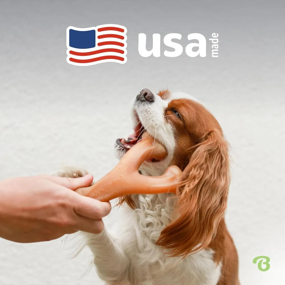 Durable Real Chicken Flavor Dog Chew Toys,