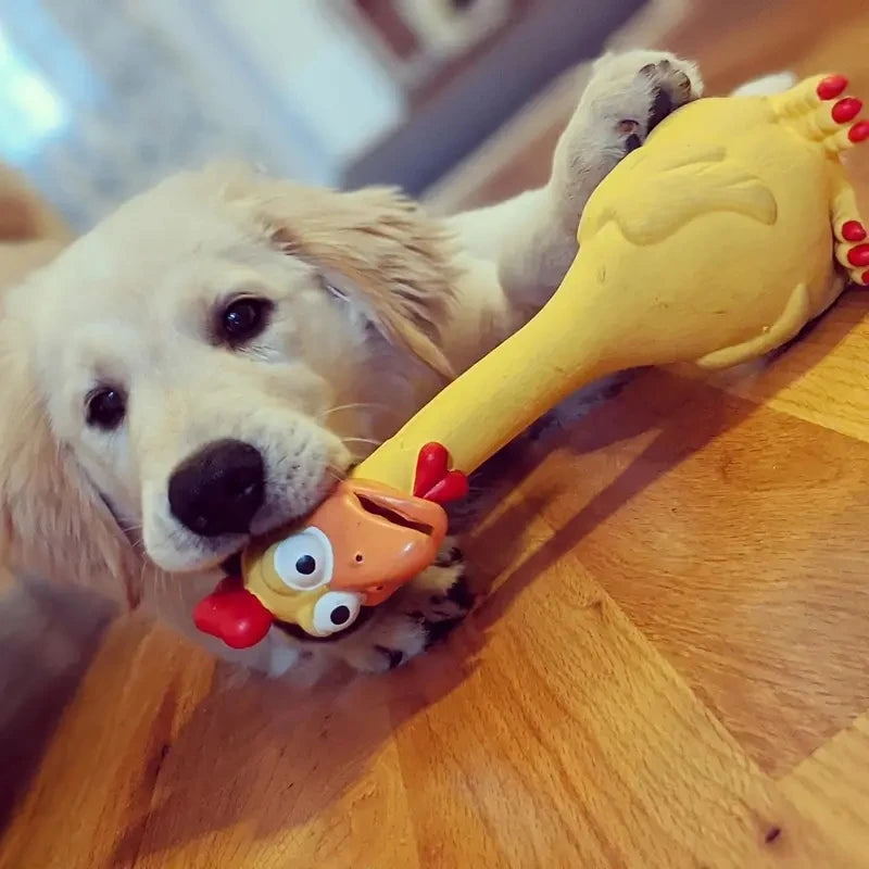 Large Cartoon Latex Screaming Chicken & Duck Toy