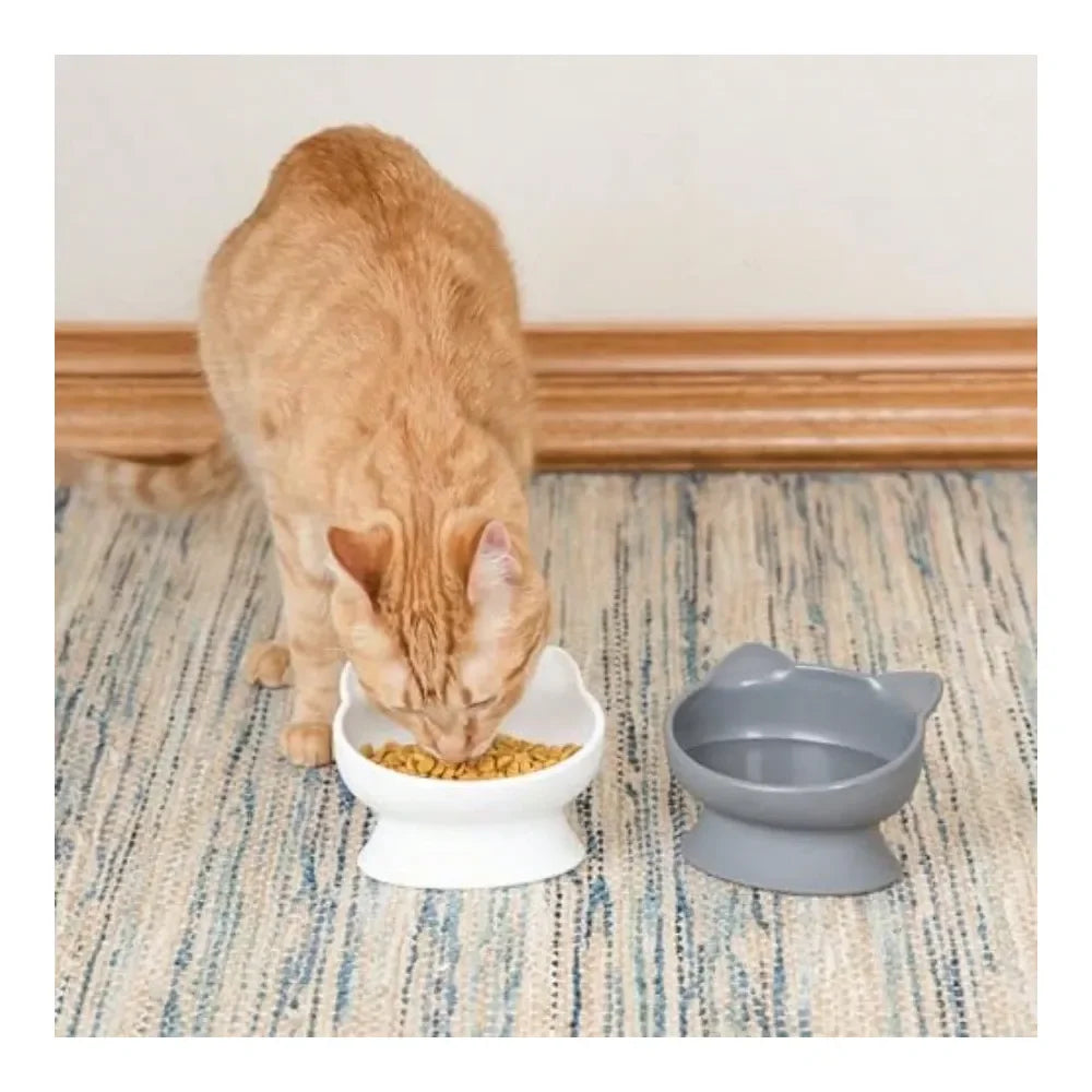 Dogs and Cats Cat Ear Small Bowls 2 pack