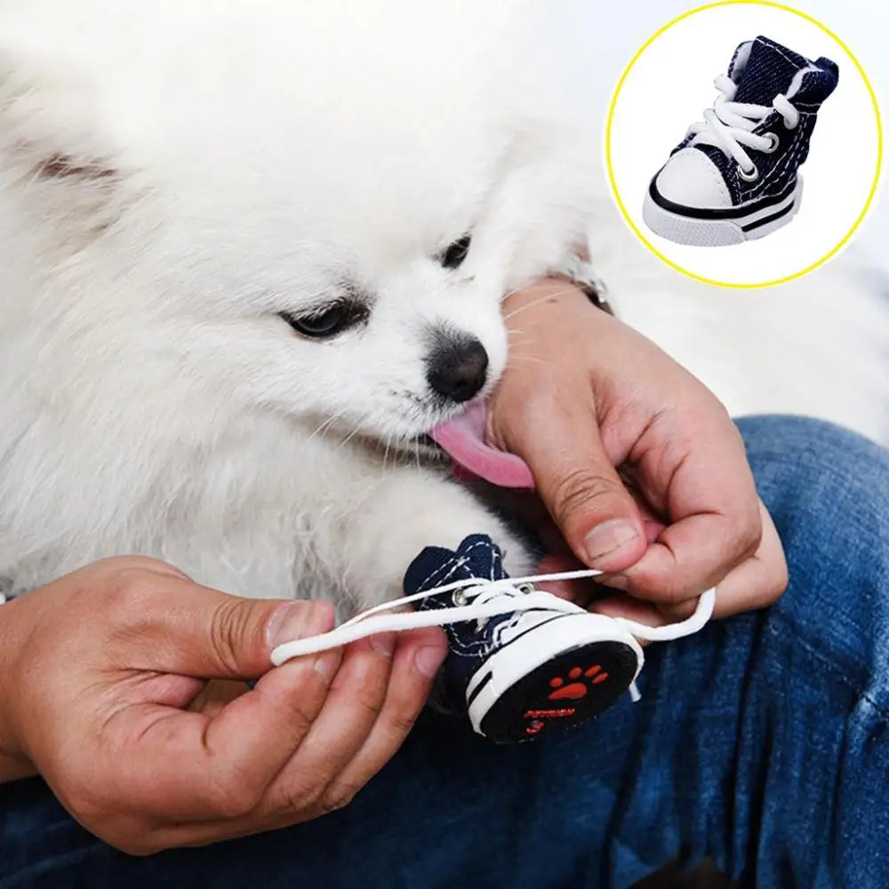 Fashion Denim Sneakers for Small Dogs, Puppies and Cats.