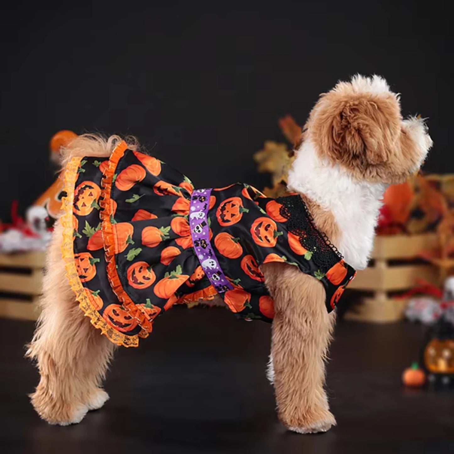 Halloween Dress for Small Dogs; Sizes S - XL.
