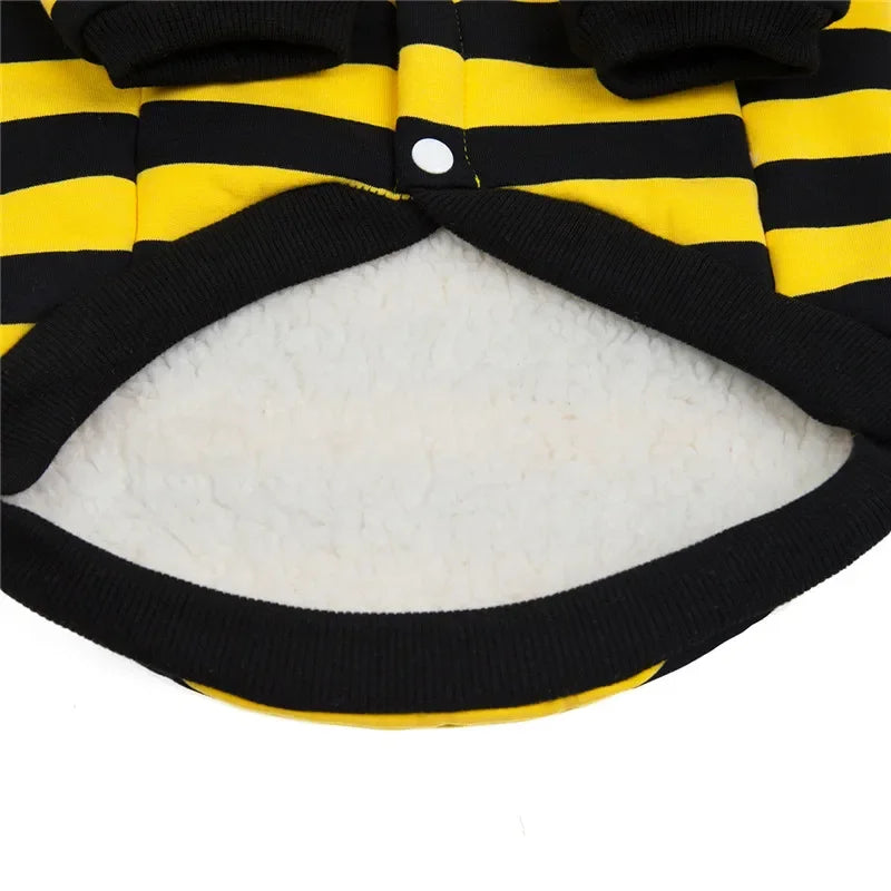 Striped Winter Cotton Dog Coat with Hoodie for Small Dogs and Puppies.