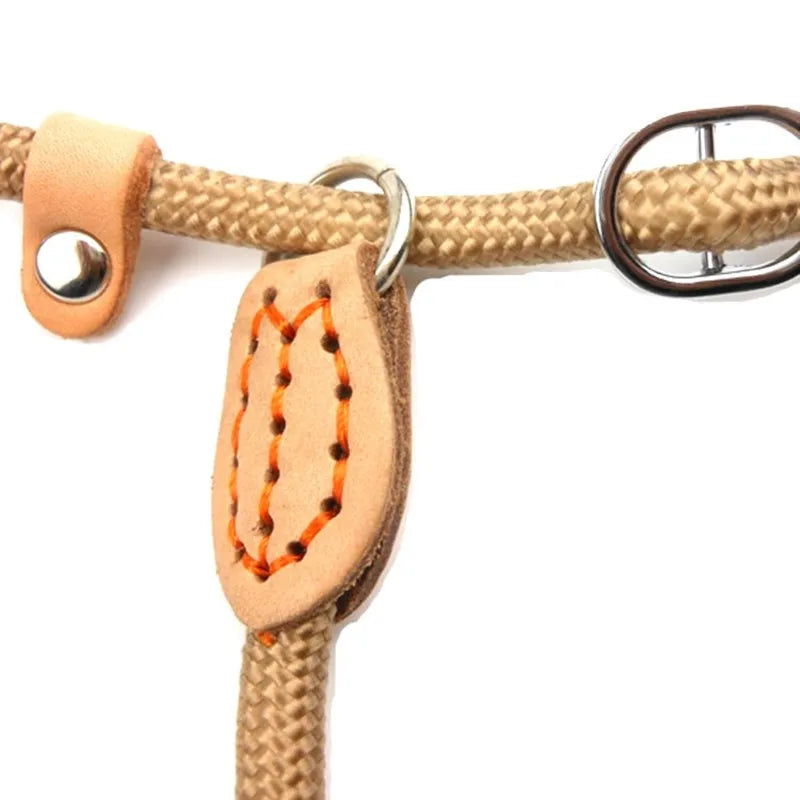 Dog Leash,  Slip Rope Lead Leash Heavy Duty Braided Rope for Medium and Large Dogs.