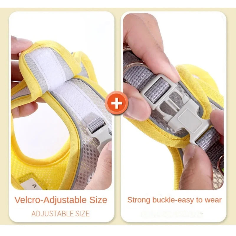 Vest-Style Dog Harness and Leash Set.