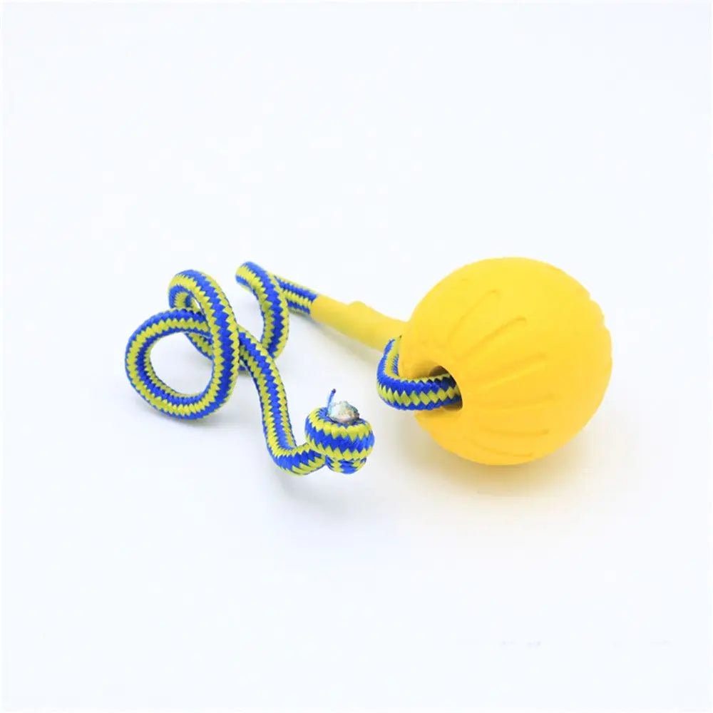 Rubber Ball, Dog Training Chew,  Toy Fetch and Tease Chew Toy.