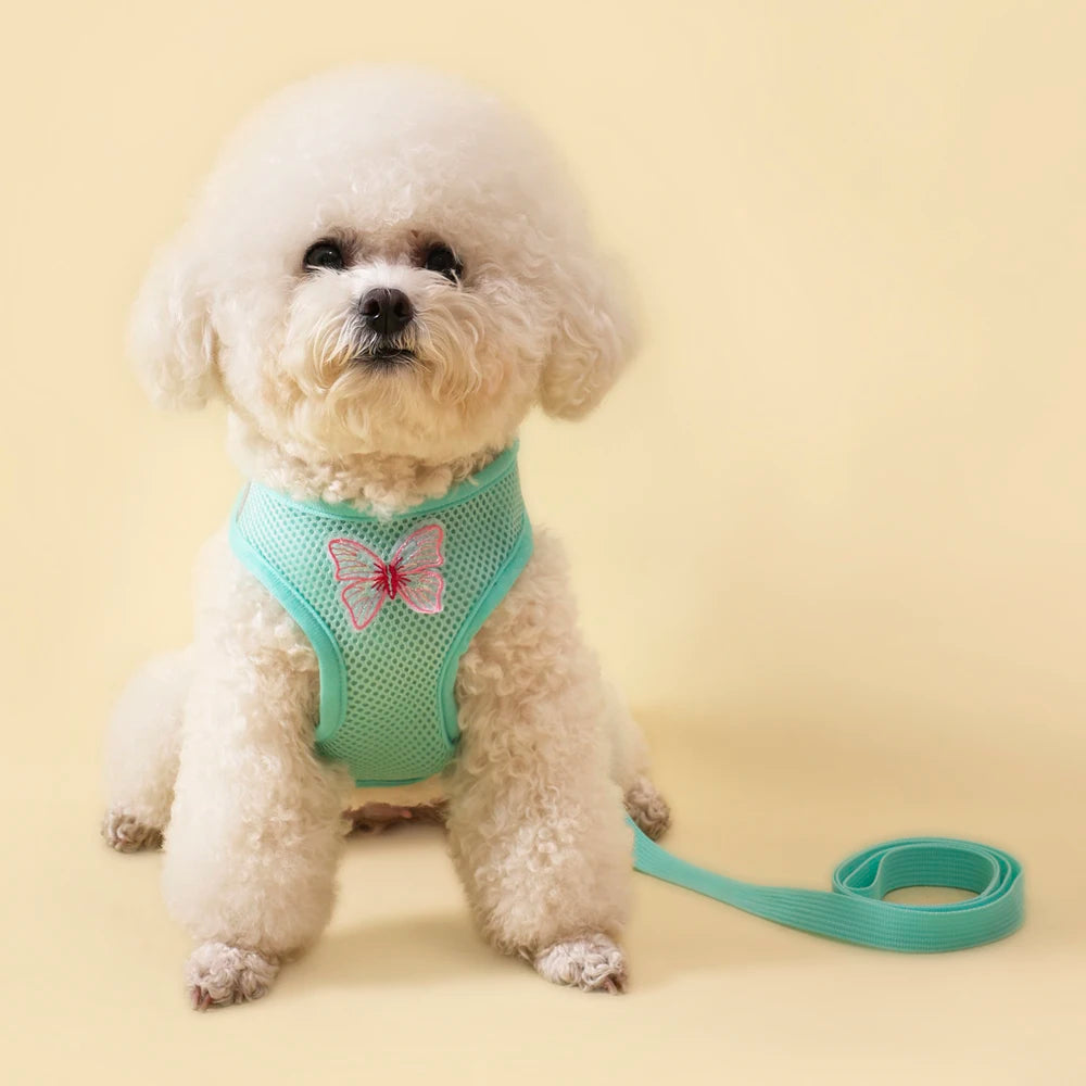 Breathable Cat Harness Set Detachable Butterfly.   Small Dog Harness Vest Set with Leash.