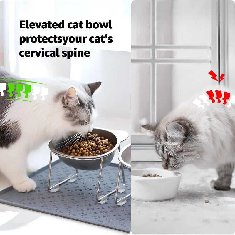 Stainless Steel Raised Cat Bowl with 15° Elevated Non-Slip Design for Cats and Puppies.