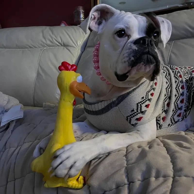 Large Cartoon Latex Screaming Chicken & Duck Toy