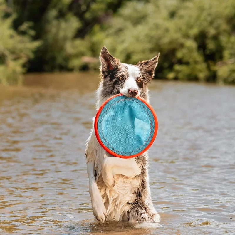 Flying Disc Dog Toy Water Floating Durable Nylon Construction with Soft Rubber Edges For Medium and Large Dogs.