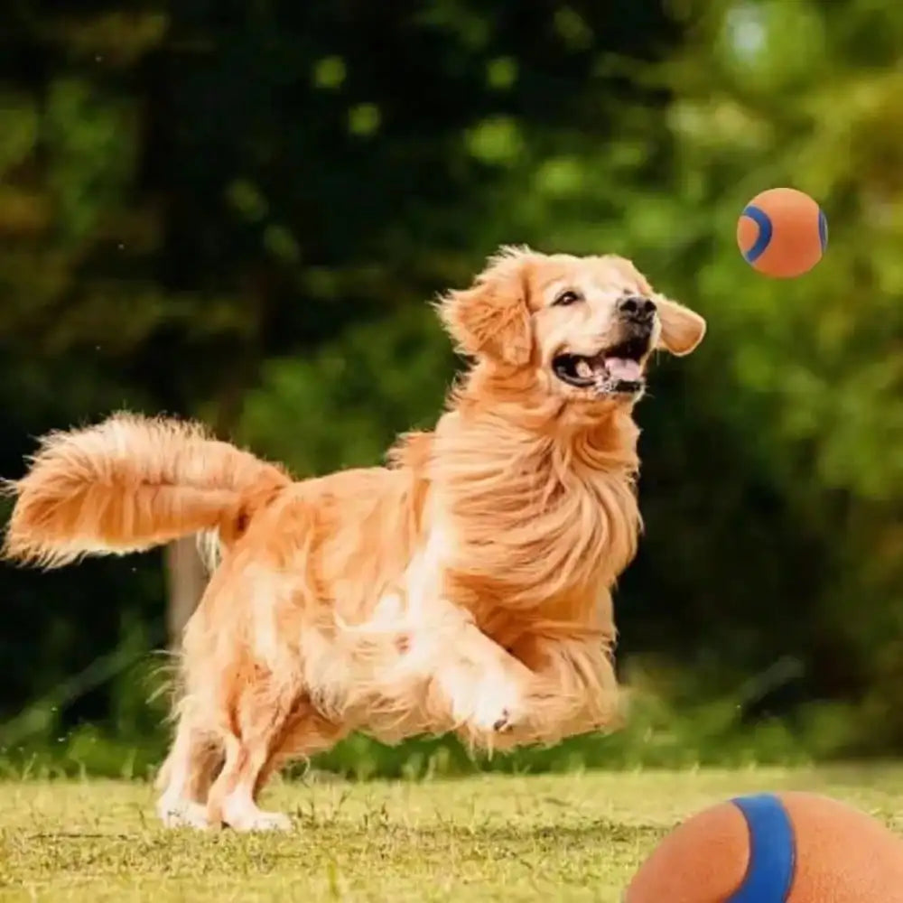 Toy Ball for Puppies & Small, Medium & Large Dogs.