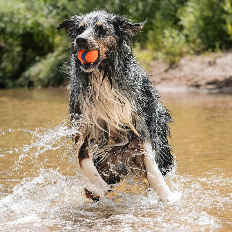 Dog Ball For Large Dogs,  Made from Durable Rubber,  Super Bouncy and Floats.