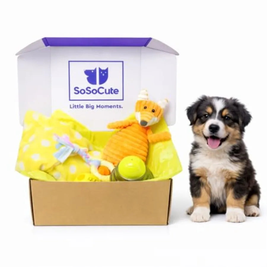Puppy Starter Kit 5 Piece Toy Gift Set for Small Dogs:  Blanket, Squeaky Plush Toy, Chew Ring, Treat Ball and Feed Ball.